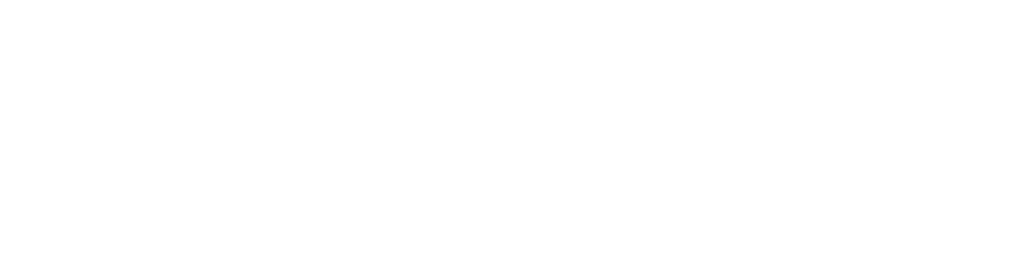 Nable solutions logo